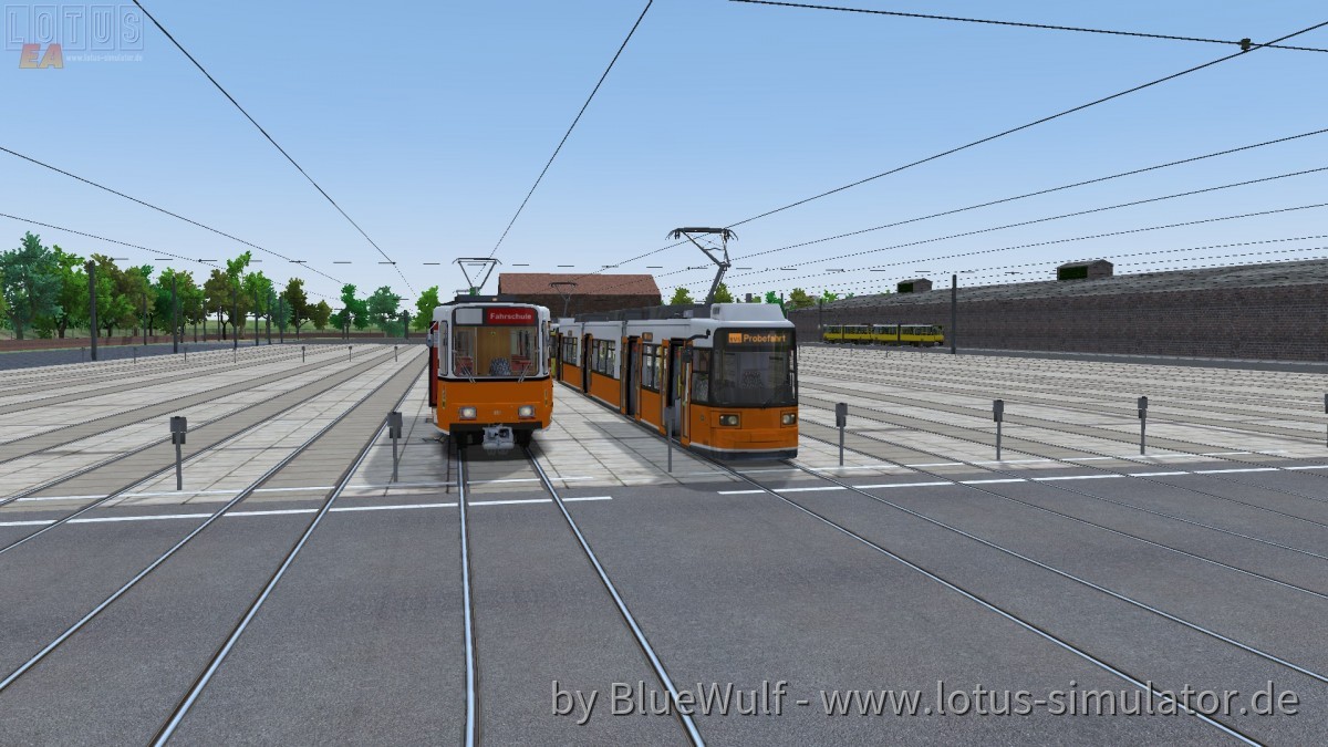 Drachenstein/Bärstadt hat neuen zuwachs bekommen